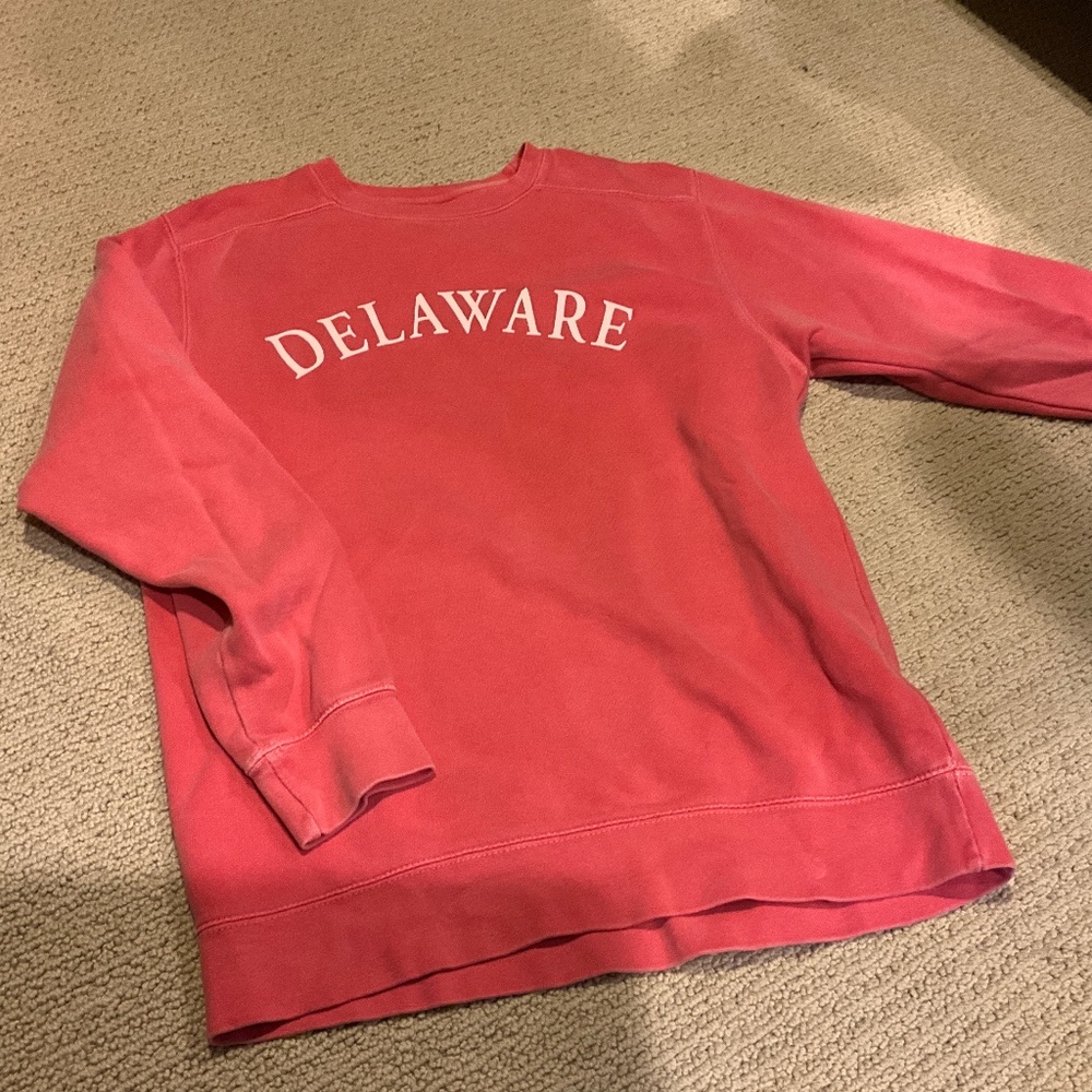 Comfort color pink Delaware sweatshirt size S